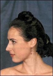 4_2_3.jpg (57313 bytes)